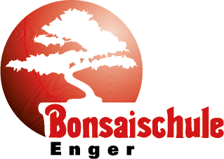 Zur Startseite gehen