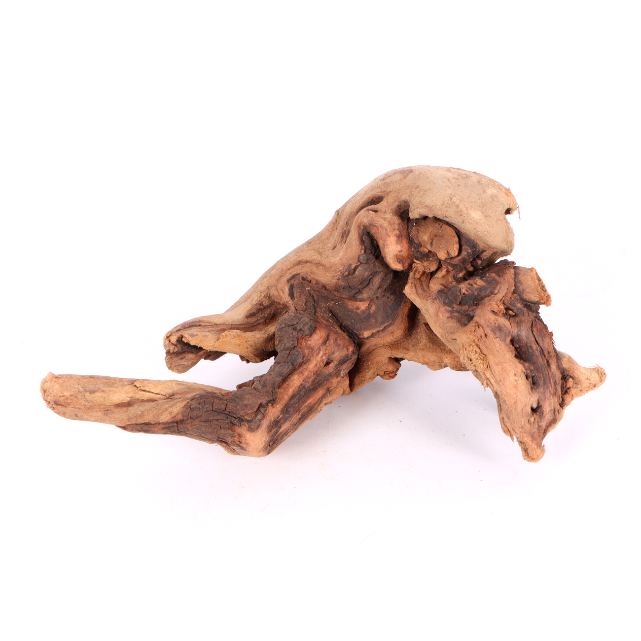 Tanuki-Holz