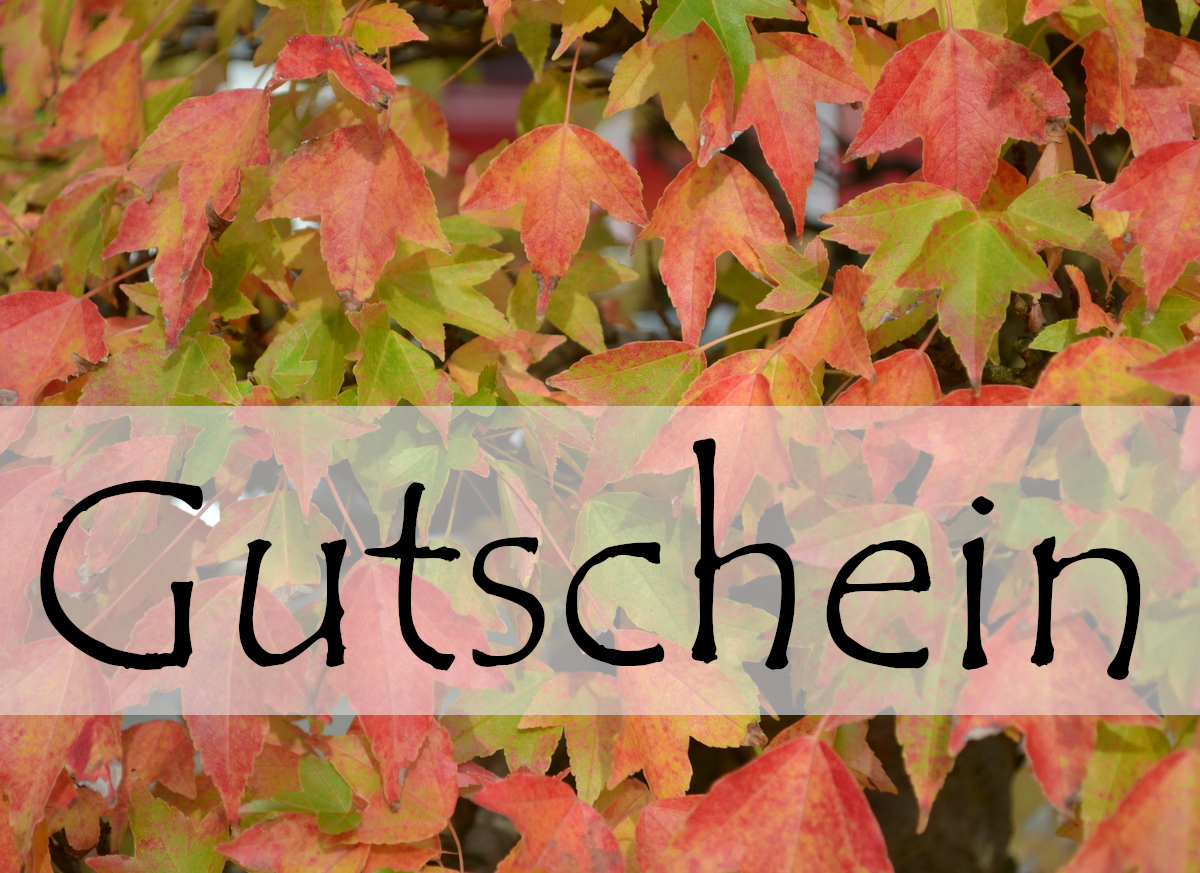 Geschenkgutschein Motiv C
