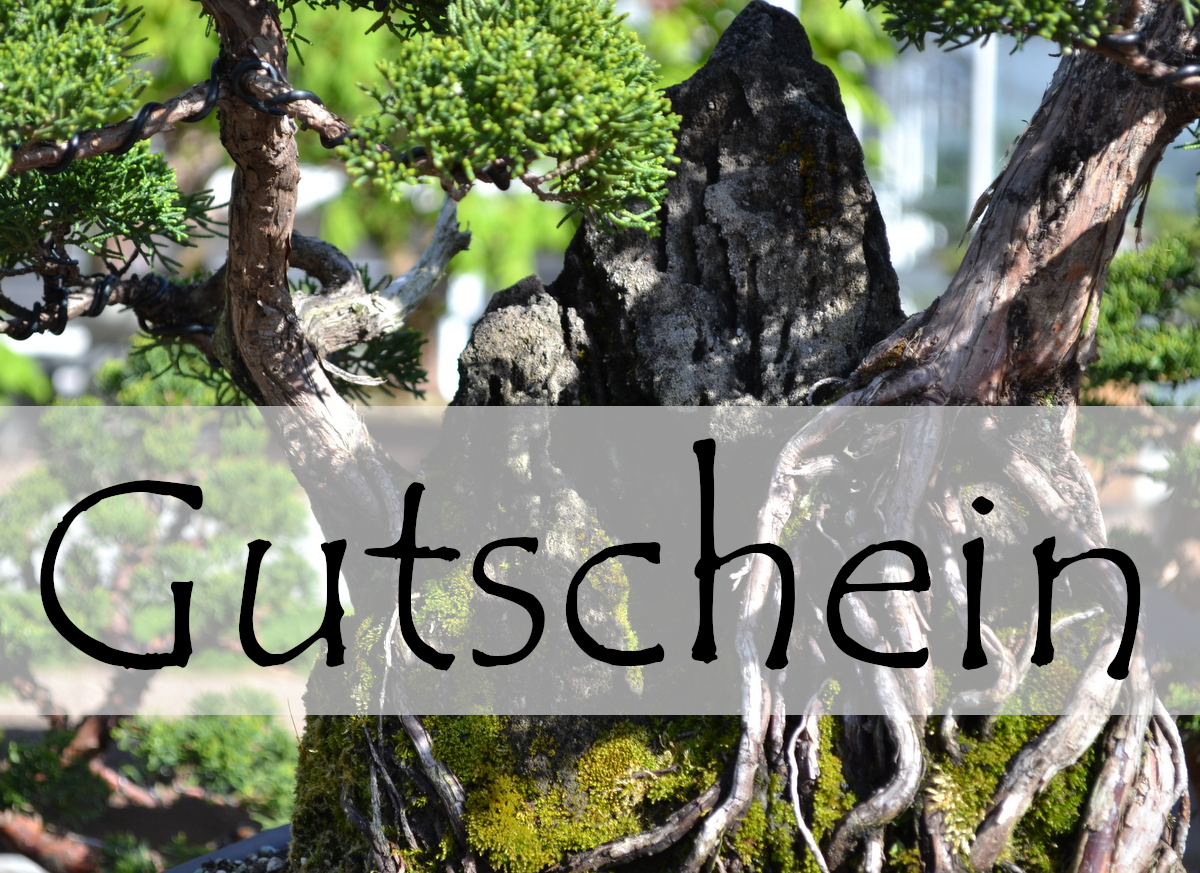 Geschenkgutschein Motiv A