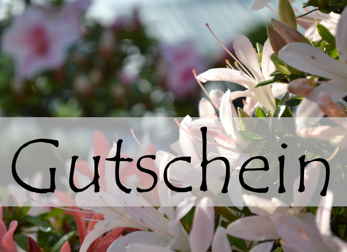 Geschenkgutschein Motiv E