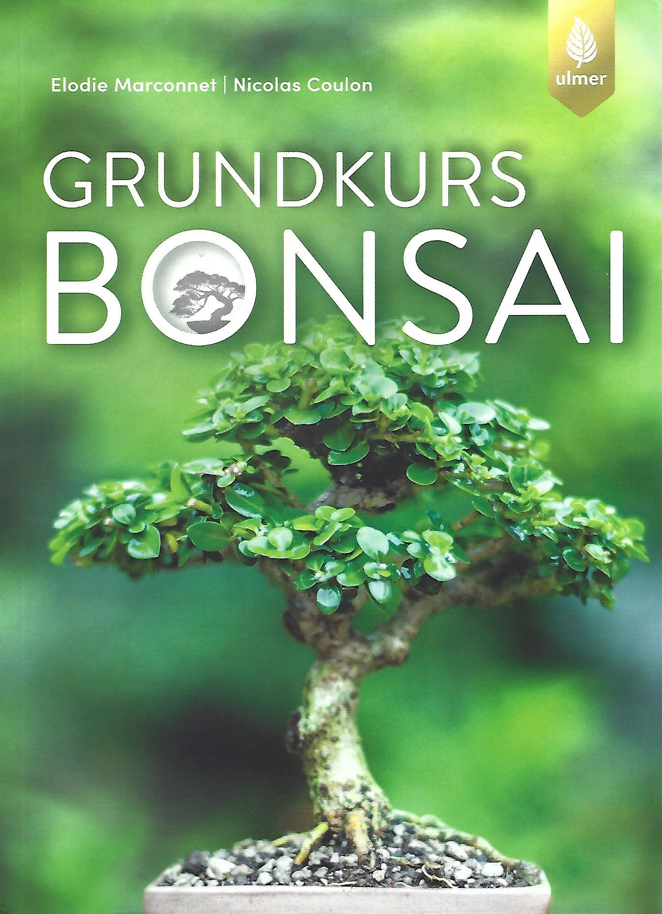 Grundkurs Bonsai